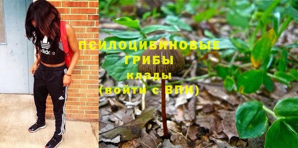 apvp Новодвинск