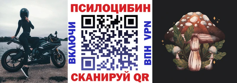 Галлюциногенные грибы GOLDEN TEACHER  Северская 
